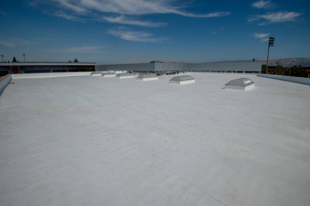 Best Gutter Installation and Repair  in Hays, NC