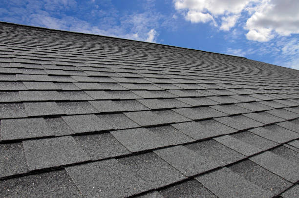 Best Roof Coating Services  in Hays, NC